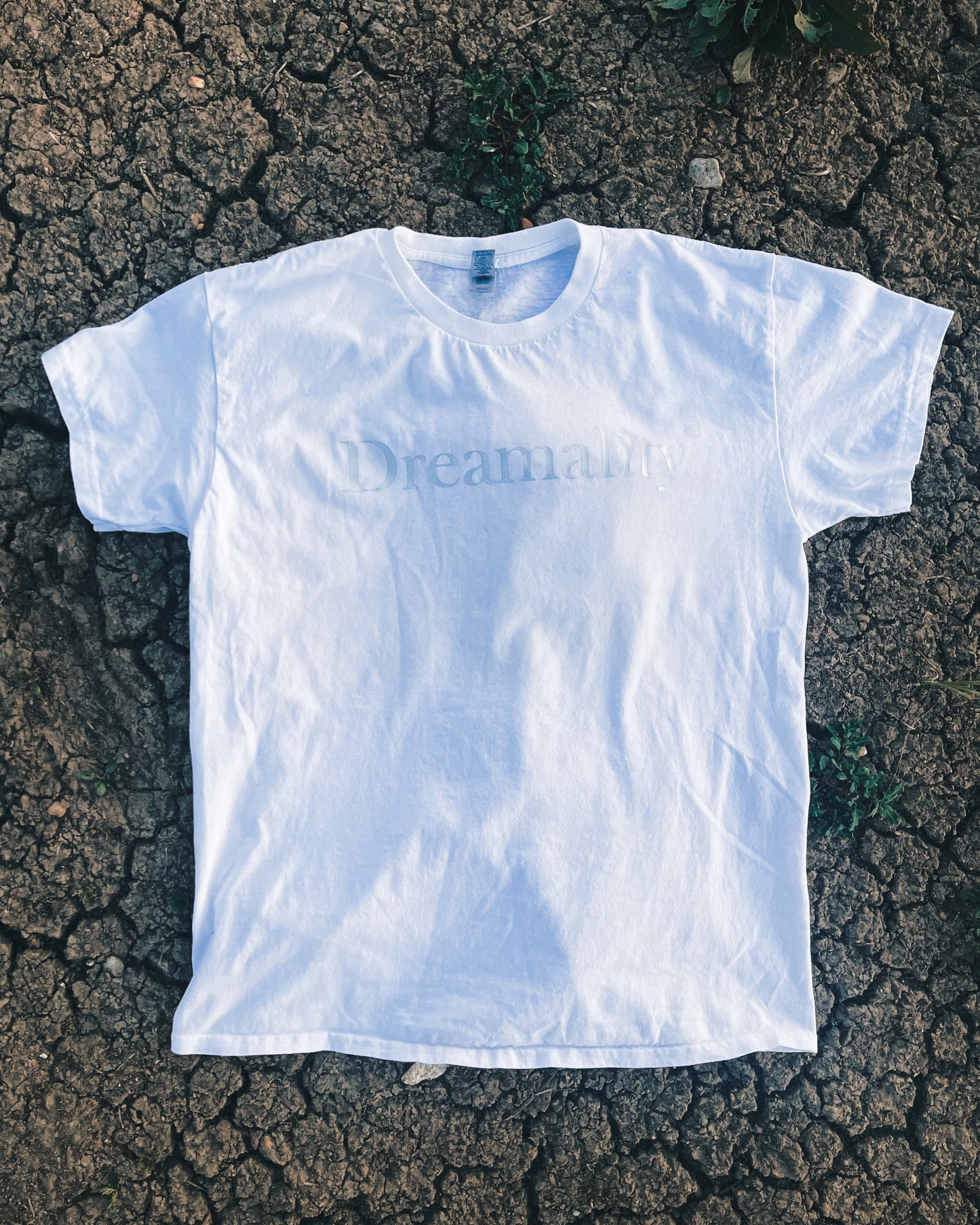 Summer Dreamality Shop Tee